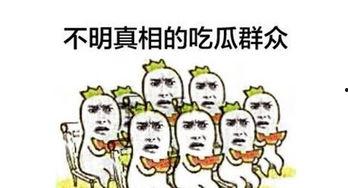 如果你是一个吃瓜群众,吃瓜群众视角下的娱乐圈风云录