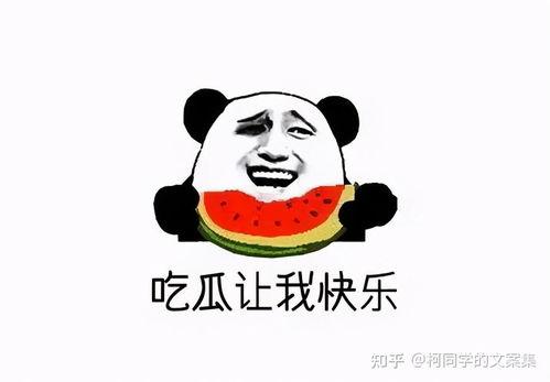 真吃瓜群众文案,揭秘真吃瓜群众背后的故事与真相