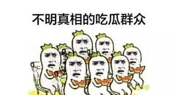学校校长吃瓜群众,揭秘校园风云背后的真相”