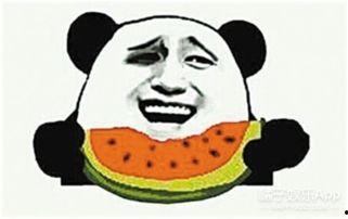 吃瓜群众的粉丝是谁啊,揭秘“吃瓜群众”背后的神秘粉丝