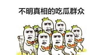 被围观的吃瓜群众,揭秘网络围观现象背后的心理与社会效应