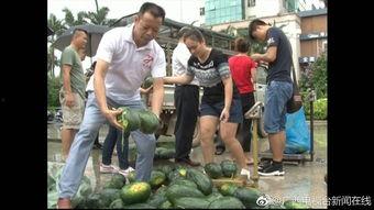 农民工吃瓜群众事件,揭示社会现象背后的深思