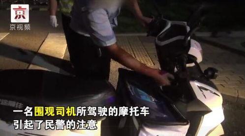 想当个吃瓜群众结果自己被吃,一场意外的“瓜”界奇遇