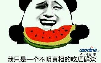 最佳吃瓜群众是什么意思,网络时代的围观艺术与社交智慧