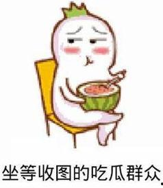 吃瓜群众的瓜指啥,网络舆论场中的围观与解读