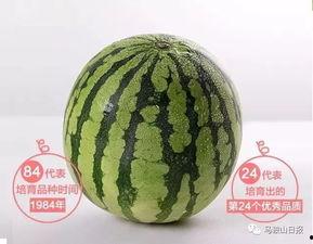 蟠桃街的吃瓜群众是谁,街头巷尾的趣味众生相