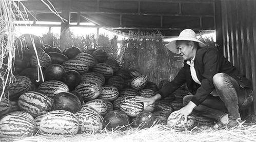 水城广场吃瓜群众视频,现场直击，一幕幕趣味横生的街头百态