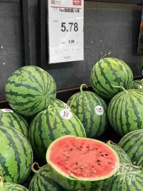 数码爱好者吃瓜群众,揭秘数码爱好者背后的故事