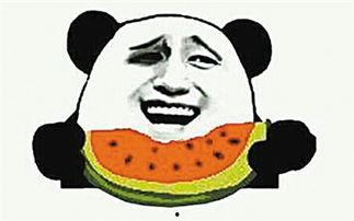 吃瓜群众小电驴图片