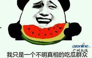 第一个吃瓜群众什么意思,网络热词背后的文化现象