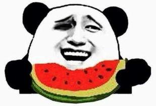 吃瓜群众陈姑娘视频全集,揭秘娱乐圈幕后真相