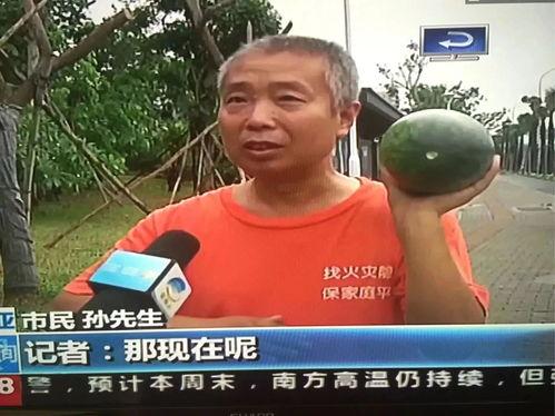 五号吃瓜群众事件,揭秘网络舆论的狂欢与反思