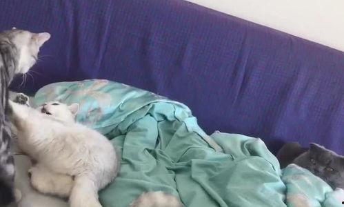 吃瓜群众看热闹 吵架,一场热闹的吵架现场