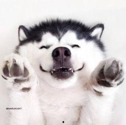 吃瓜群众哈喇子视频大全,揭秘吃瓜群众哈喇子视频大全