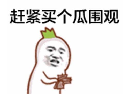 炸屏吃瓜群众视频真实吗,揭秘真实与虚构的界限