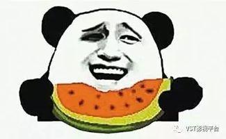 吃瓜群众张大美人,揭秘娱乐圈幕后故事