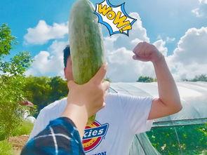 吃瓜群众送瓜,夏日清凉公益活动温暖人心