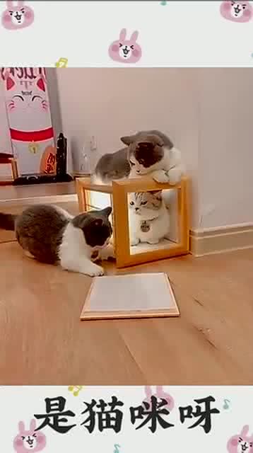 隔壁一个吃瓜群众的故事,一场意外引发的邻里风云