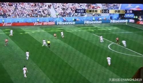 足球比赛吃瓜群众,揭秘足球比赛中的吃瓜群众众生相