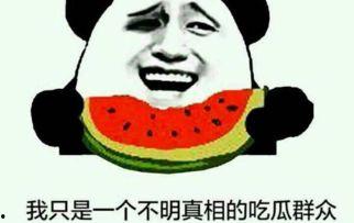 吃瓜群众关系网