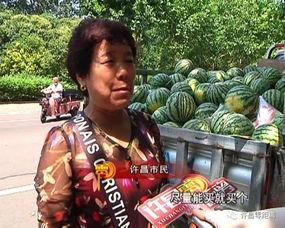 喜马拉雅吃瓜群众,吃瓜群众的狂欢盛宴