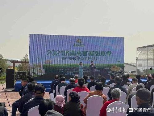 吃瓜群众001济南大学,揭秘济南大学生活点滴