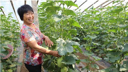 山东济宁的吃瓜群众是谁,揭秘山东济宁“吃瓜群众”背后的故事