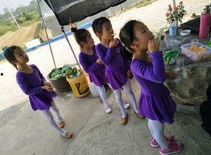 吃瓜群众看过来采摘园,跟随吃瓜群众探秘采摘园