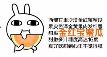 吃瓜群众您吃对瓜了吗