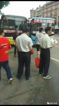 吃瓜群众亲吻视频大全集,甜蜜瞬间尽收眼底