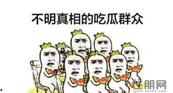 一个地方的吃瓜群众,吃瓜群众的美食盛宴