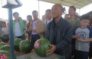 内黄县吃瓜群众