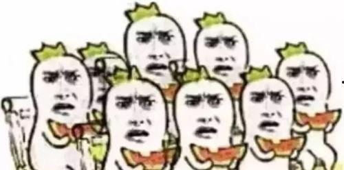 喵小咪吃瓜群众,吃瓜群众的趣味生活